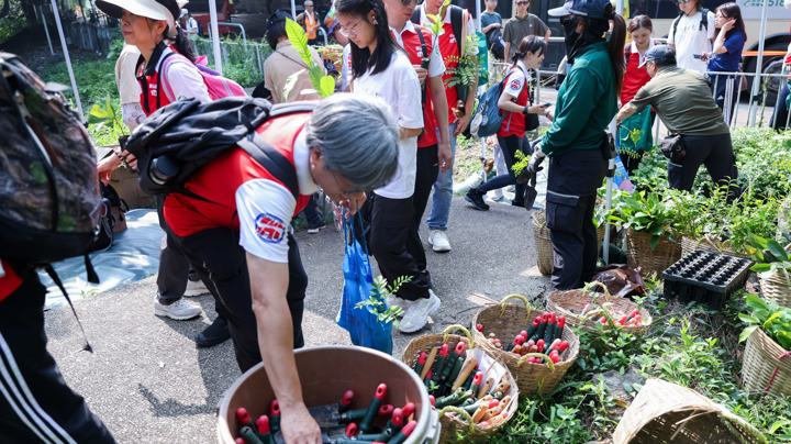 建造業郊野公園遠足植樹日2026